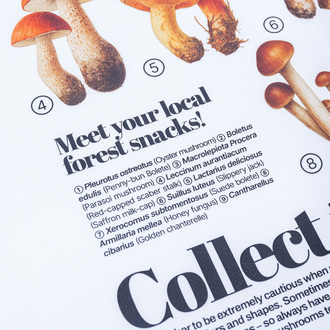 Koszulka Mushroom Hunter