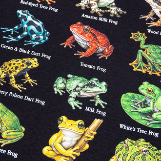 Bluza Swamp Boys