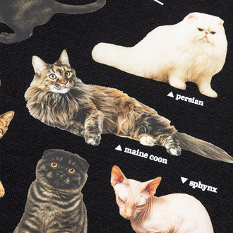 Bluza z kapturem My Cat