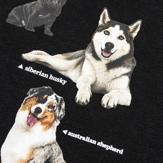 Bluza My Dog