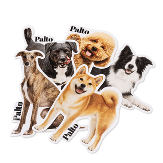 Naklejki Shiba Inu