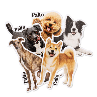 Naklejki Shiba Inu